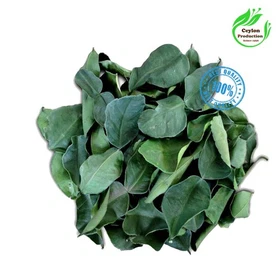 Organic Lime Leaves Whole Dried Natural Citrus Aurantifolia Herbal Leaf