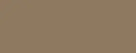 MP5222 CLASSIC INDUSTRIES Exterior Touch Up Paint Honey Mopar