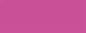 MP5238 CLASSIC INDUSTRIES Exterior Touch Up Paint Pink Dodge
