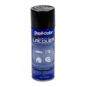 DAL1677 DUPLI-COLOR/KRYLON Paint Performance