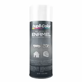 DA1672 DUPLICOLOR General Paint
