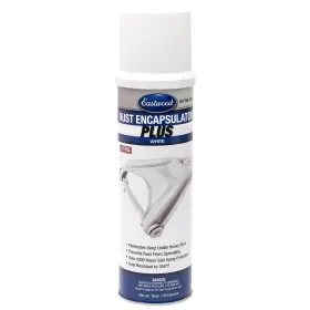 74020Z EASTWOOD Encapsulator Spray Paint