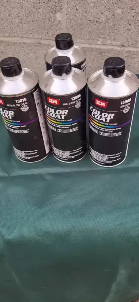 15506 FLEX Sem Coat Paint #2