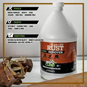 RR128 GRIP CLEAN Remover Convertor Soaking Solution Restores #2