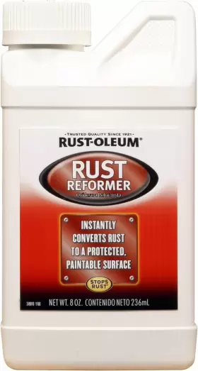 248659 RUST-OLEUM Reformer Brush Pack