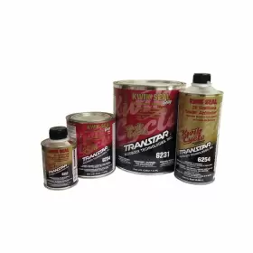 6254 TRANSTAR Kwik Seal Activator