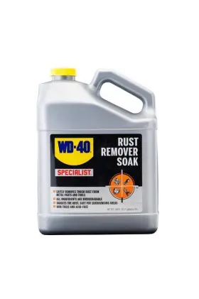 300042 WD-40 Gallon Pack