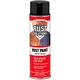	AGS RUST SOLUTIONS Rust Spray Paint 14oz Durable Matte Black Finish Safe for	