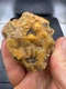 Fossilized Indiana Geode Quartz Botryoidal Agate crinoid calyx 1,430 Carats