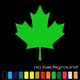Maple Leaf Sticker Vinyl Decal - Canada Tree Fall Car Window Bumper Laptop Decor