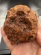 Fossilized Indiana Geode Quartz Red botryoidal Agate crinoid calyx 1,380 Carats