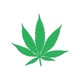 Marijuana Pot Leaf Sticker Decal Die Cut
