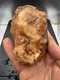 Fossilized Indiana Geode Quartz Botryoidal Red Agate crinoid calyx 1,370 Carats