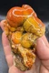 Fossilized Indiana Geode Quartz Botryoidal Red Agate crinoid calyx 1,305 Carats