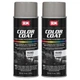 SEM Color Coat Paint Carpet Plastic Vinyl Medium Gray Aerosol 12 oz. 15393, 2 Pk