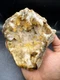 Fossilized Indiana Geode Quartz Citrine 1/2 Agate crinoid calyx 1,372 Grams