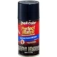 Krylon BGM0500 Perfect Match Paint