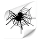Spider Spider Web Sticker Car Wall I Medium