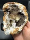 Fossilized Indiana Geode Quartz Crystal 1/2 Agate crinoid calyx 1,800 Grams