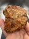Fossilized Indiana Geode Quartz Botryoidal Red Agate crinoid calyx 1,660 Carats