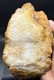 Fossilized Indiana Geode Quartz Citrine 1/2 Agate crinoid calyx 1,707 Grams