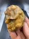 Fossilized Indiana Geode Quartz Botryoidal Agate crinoid calyx 1,350 Carats