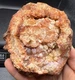 Fossilized Indiana Geode Quartz Fire Red 1/2 Agate crinoid calyx 1,267 Grams
