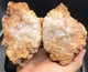 Fossilized Indiana Geode Quartz White Pink 1/2 Agate crinoid calyx 1,306 Grams