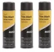 Transtar 4653 2 in 1 Trim Aerosol Satin Black (20 oz) (3 Pack)
