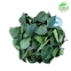 Organic Lime Leaves Whole Dried Natural Citrus Aurantifolia Herbal Leaf