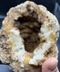 Fossilized Indiana Geode Quartz Citrine 1/2 Agate crinoid calyx 1,170 Grams
