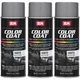 SEM Color Coat Carpet Plastic Vinyl Medium Slate Gray Aerosol 12 oz. 15873, 3 Pk