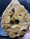 Fossilized Indiana Geode Quartz Blue Lace 1/2 Agate crinoid calyx 1,968 Grams