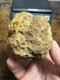 Fossilized Indiana Geode Quartz Crystal Agate Crinoid Calyx 1,915 Carats