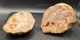 Fossilized Indiana Geode Quartz Pink  Agate crinoid calyx 1,460 Carats