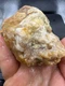 Fossilized Indiana Geode Quartz Botryoidal Agate crinoid calyx 1,470 Carats