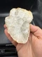 Fossilized Indiana Geode Quartz Clear  Agate crinoid calyx 1,975 Carats