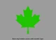 Canadian Maple Leaf Vinyl Stickers