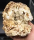 Fossilized Indiana Geode Quartz Gibbsite Cracked Agate crinoid calyx 1,527 Grams