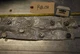 General 1605DC Ball Bearings - Lot of Qty (8) NOS - RBL138