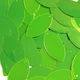 Navette Leaf Lime Green Fluorescent Metallic Sequins 1.5 inch Couture Paillettes