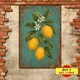 Lemon Leaf Yellow Lime Fruit Pattern Metal Tin Sign Kitchen Wall Decor