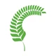 Laurel Leaf Decorative - Vinyl Decal Sticker - Multiple Colors & Sizes - ebn3088