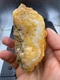 Fossilized Indiana Geode Quartz Botryoidal Agate crinoid calyx 1,750 Carats