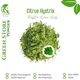 Organic Pure Powder Of Kaffir Lime Leaf (Citrus Hystrix) WildCrafted 100%
