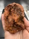 Fossilized Indiana Geode Quartz Botryoidal Red Agate crinoid calyx 1,500 Carats