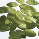 Navette Leaf Sequin 1.5" Lime Green Fluorescent Shiny Metallic Made in USA