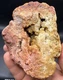 Fossilized Indiana Geode Quartz Red Yellow 1/2 Agate crinoid calyx 1,310 Grams