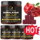 Dynamic Vitality Shilajit Gummies Pure 100% NEWHimalayan Organic Resin Natural