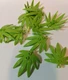 Sword Leaf Plant #30239 &mdash; 10 Pieces &mdash;Pick your color&mdash;Custom & Compatible